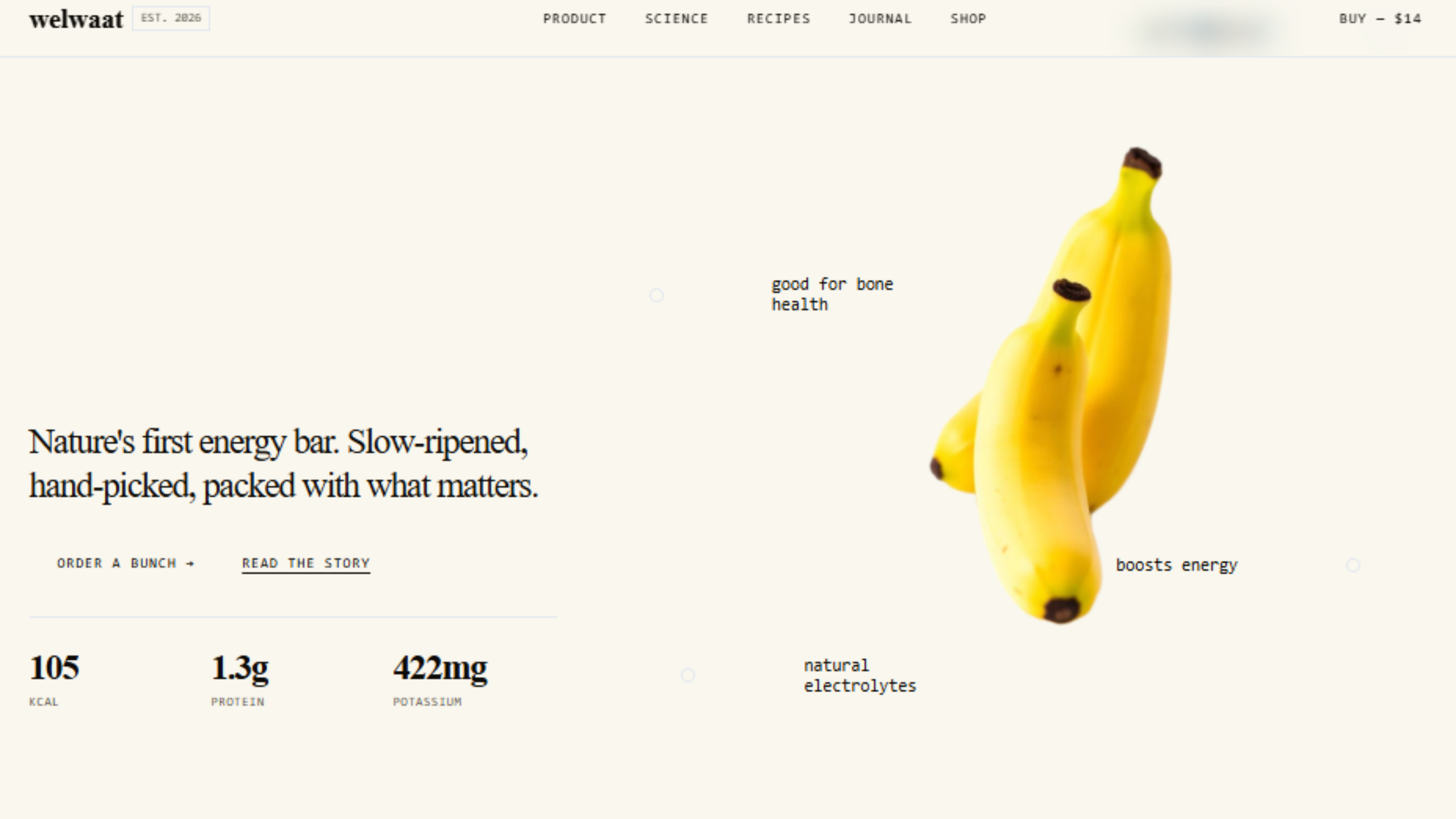 Pure Healthy Banana Protein Snack Website